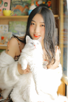 凯蒂猫全集